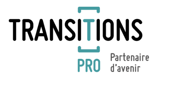 TRANSITIONS PRO